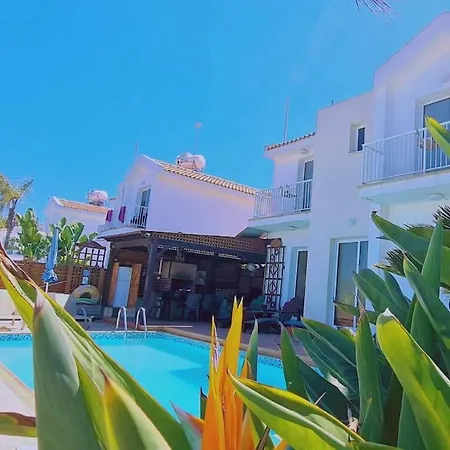 Kangaroo 프로타라스