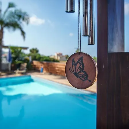 Villa Kangaroo Protarász